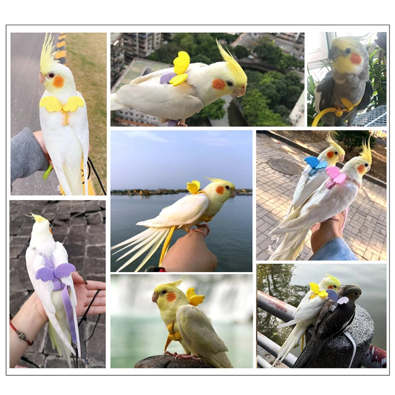 Adjustable Bird Harness Leash Set