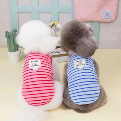 Cute Pet Outfit