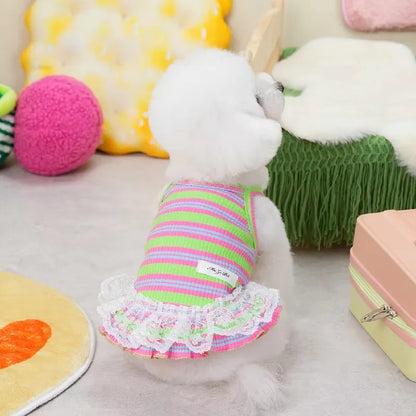 Cute Pet Outfit