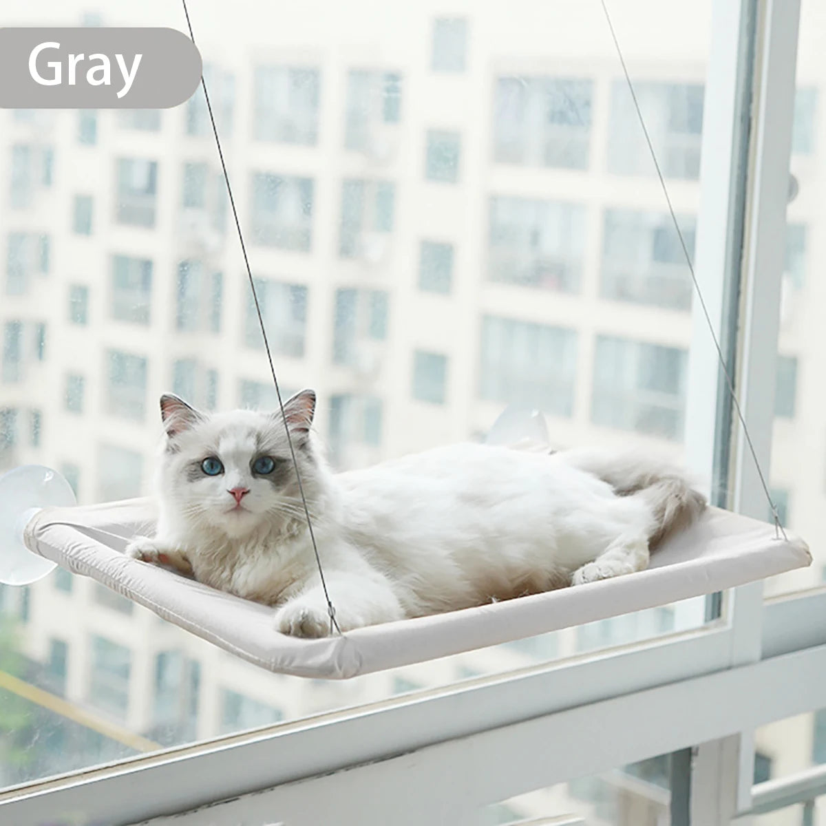 Hanging Cat Bed