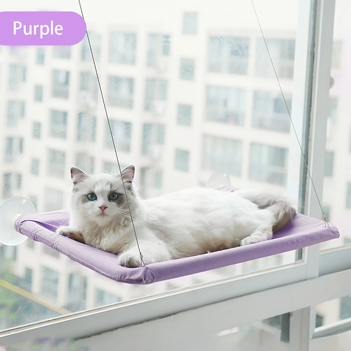 Hanging Cat Bed