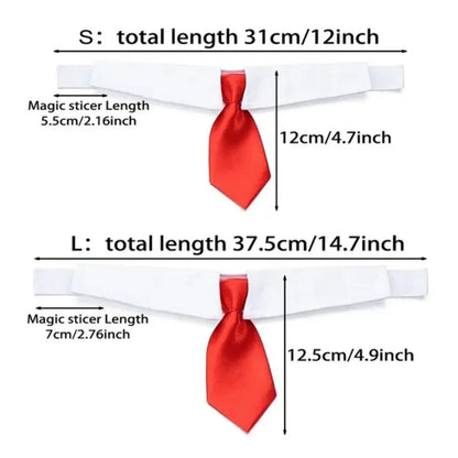 Formal Necktie Collar