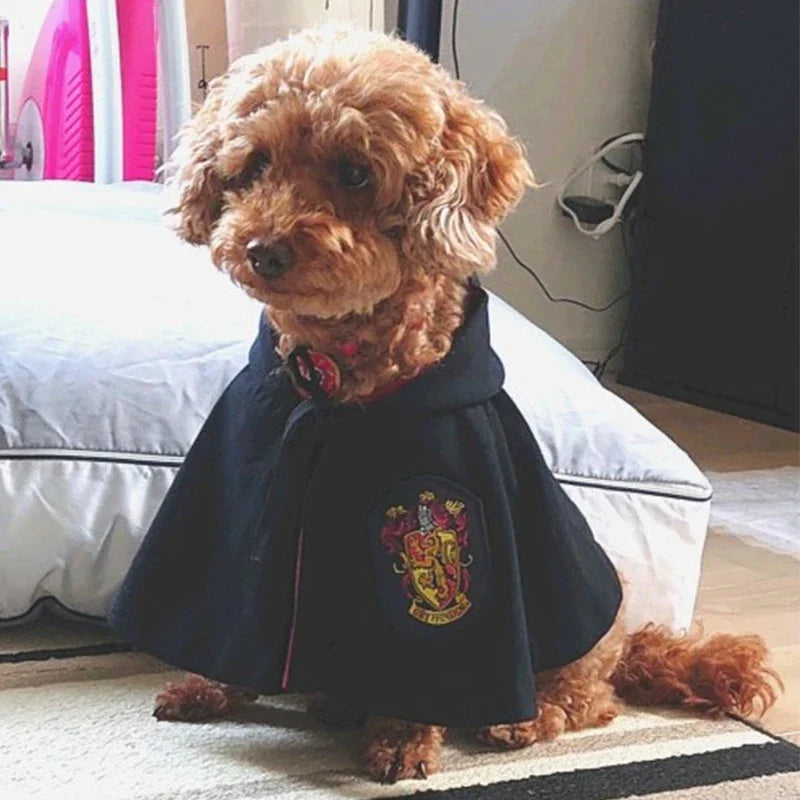 Magic Academy Cat Cape for Halloween