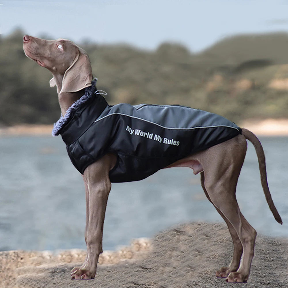Winter Waterproof Vest