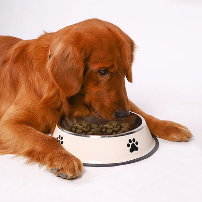 Stainless Steel Feeding Bowl