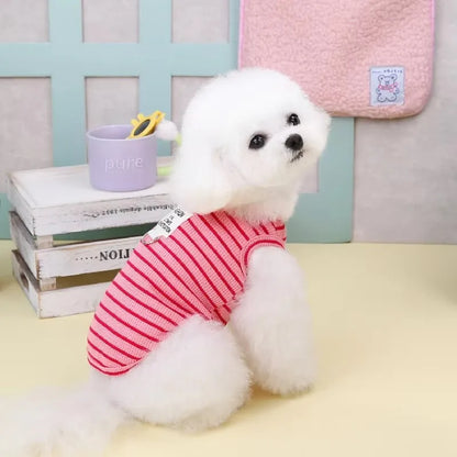 Cute Pet Outfit