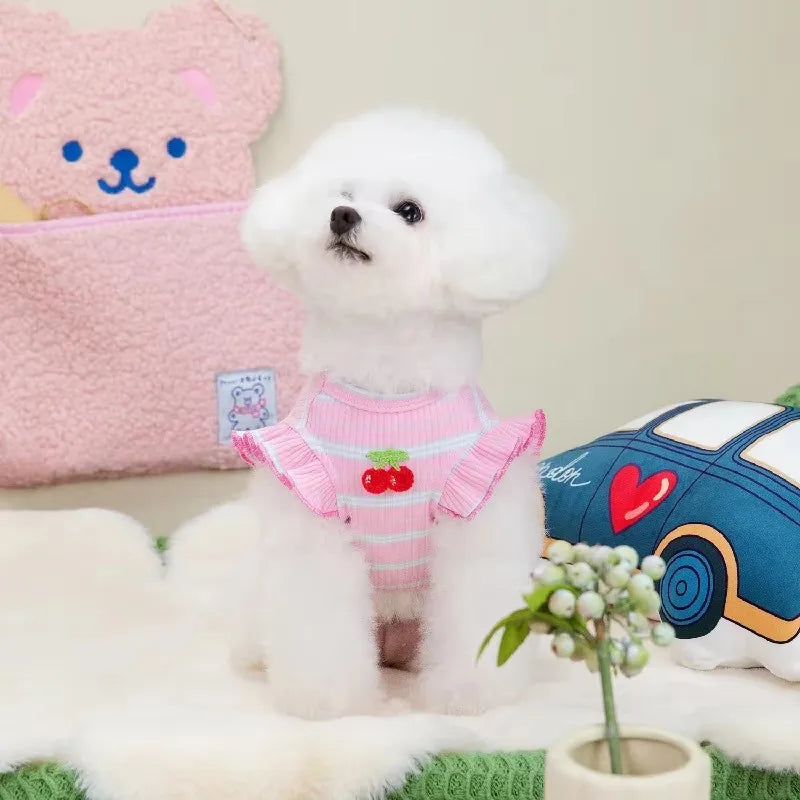 Cute Pet Outfit