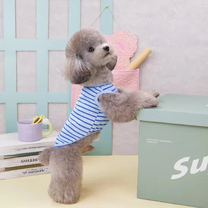 Cute Pet Outfit